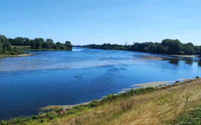 Orléans – Saumur à vélo