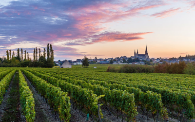 Saumur – Le Puy-Notre-Dame à vélo
